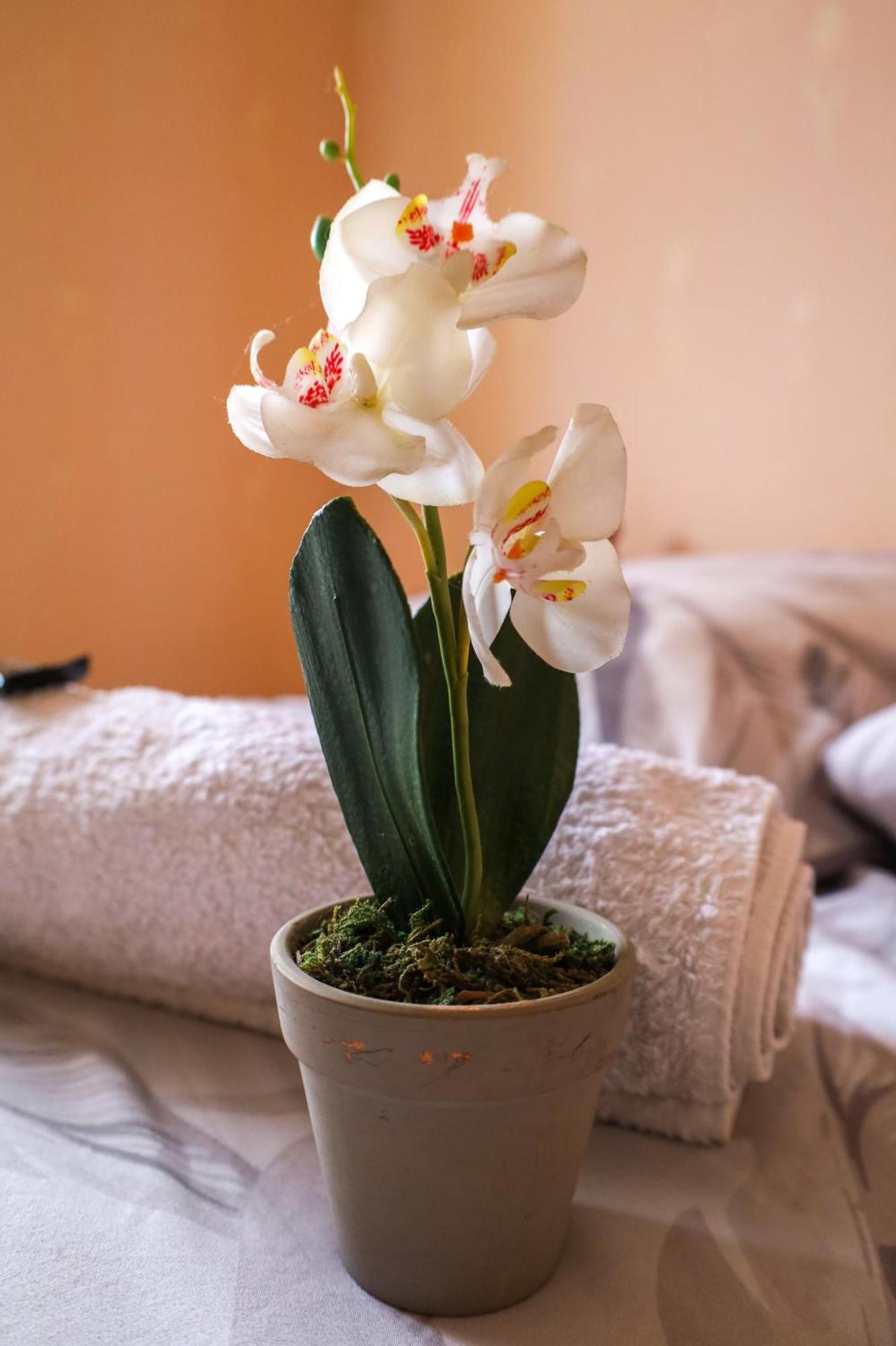 Vintage House Villa Ambérieu-en-Bugey Екстериор снимка